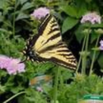 Deep Creek Garden Center - Nurseries & Gardening Near Me - Gresham, Oregon