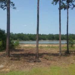 T & D Professional Tree Removal - After photo!!!