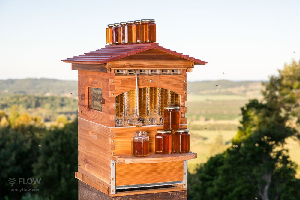 El Family Farm & Apiary - beekeeping in Farmville, VA