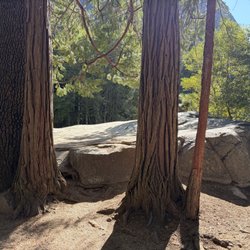 Muir Rock - Muir rock