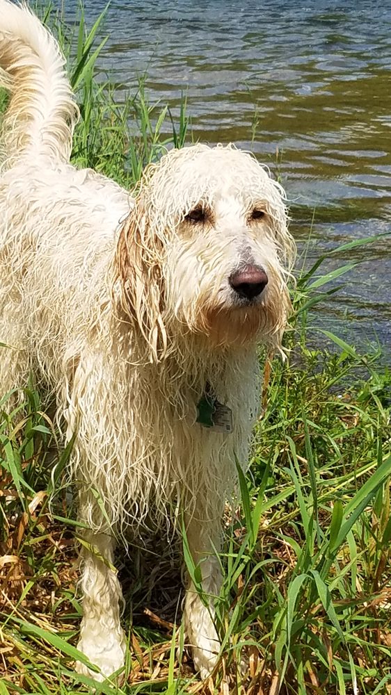 WALMART PHOTO CENTER 10 Photos 33 Sherwood Dr, Tilton, New