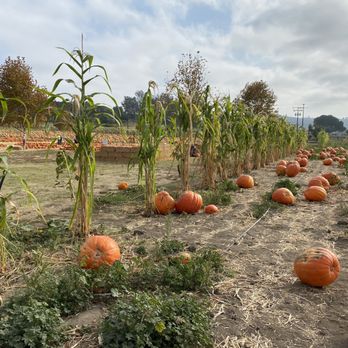 Bates Nut Farm - Specialty Food Near Me - Valley Center, California