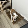 Head to Tail