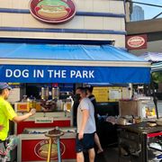Photo of Dog In The Park - Seattle, WA, United States. Outside