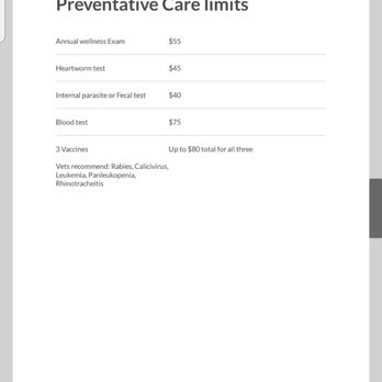 American Pet Clinic - Veterinarians Near Me - Ceres, California