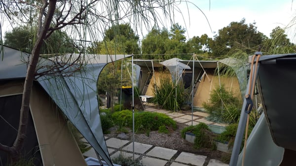 Adelaide Zoo by null