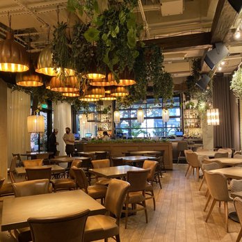 Aba - Dining Room - Mediterranean Near Me - Austin, Texas Aba - Dining Room - Mediterranean Near Me - Austin, Texas