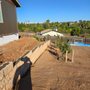 Photo of Rising Oak  Tree Service & Landscaping