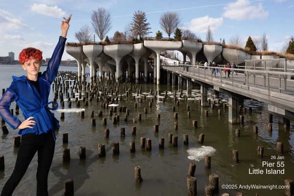Little Island, Pier 55 at Hudson River Park by null