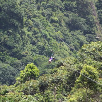 Toroverde - still going - Ziplining Near Me - Orocovis, Puerto Rico Toroverde - still going - Ziplining Near Me - Orocovis, Puerto Rico