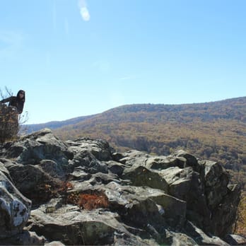 Skyline Drive - A tiny hike away from the crowds at the overlooks - Parks Near Me - Front Royal, Virginia