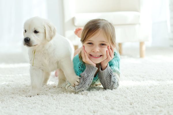 Mitchell's Carpet Center