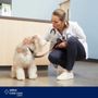 Photo of Vetco Total Care