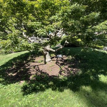 Brooklyn Botanic Garden - Lots of Japanese trees and greenery here. - Botanical Gardens Near Me - Brooklyn, New York