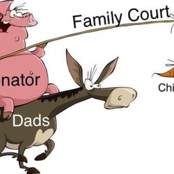 Boulder County Court