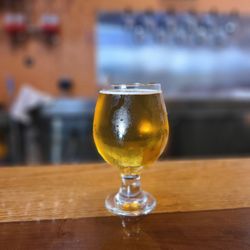 Hop Secret - Hoppa Stoppa- Imperial IPA 8% ABV