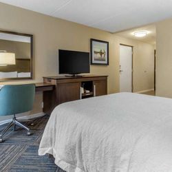Hampton Inn Green Bay Downtown - Guest room