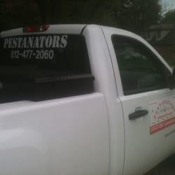 Pestanators