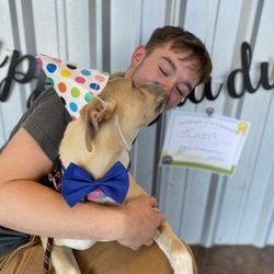 A Dogs Best Friend Daycare Training & Boarding - New Puppy? This program is for you! Puppy Kindergarten is a professional approach to puppy socialization and foundational obedience skills.