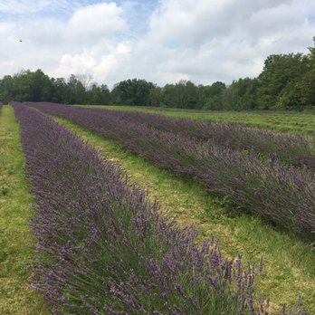 Terre Bleu - Farms Near Me - Elora, Ontario