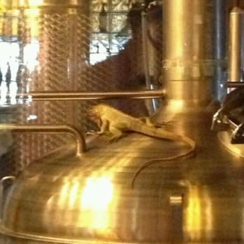 Glacier BrewHouse - No, Jaynie, that is not a gecko and he hasn't moved our entire meal. - American Near Me - Anchorage, Alaska
