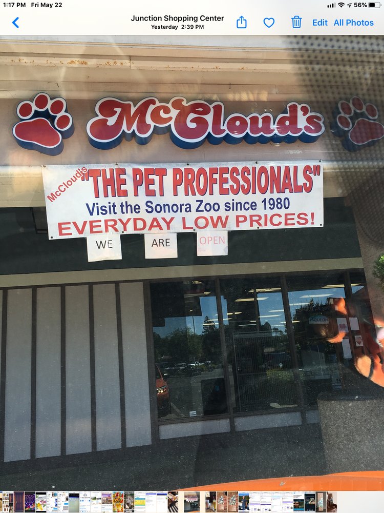 MCCLOUD’S PETS Updated May 2024 27 Photos & 38 Reviews 13769 Mono