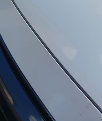 Octopus Car Wash by null