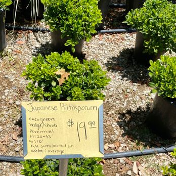 Louie's Nursery - Nurseries & Gardening Near Me - Menifee, California Louie's Nursery - Nurseries & Gardening Near Me - Menifee, California