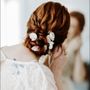 Photo of Kara Delfino Makeup Artist