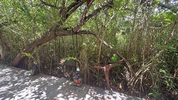 Laguna de Kaan Luum by null