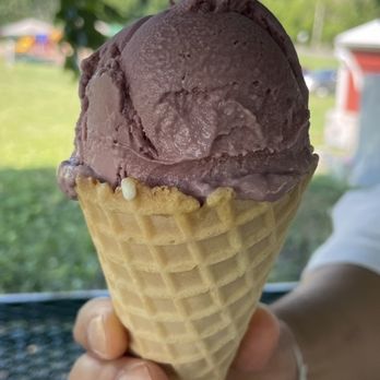 Rock Hill Orchard - Black raspberry - Farmers Market Near Me - Mount Airy, Maryland Rock Hill Orchard - Black raspberry - Farmers Market Near Me - Mount Airy, Maryland