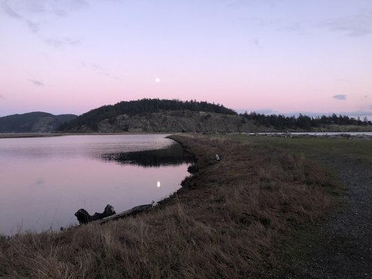 Spencer Spit State Park by null