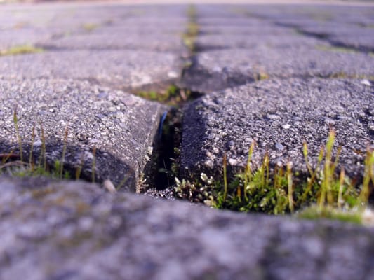 Charles Jordan Community Center by null