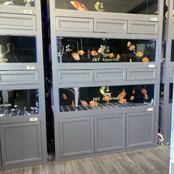 J&Y Aquarium
