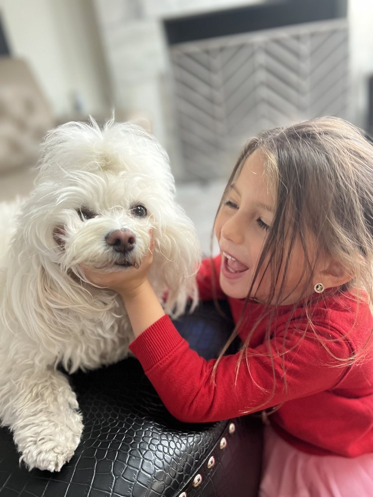 CRUZ ANIMAL HOSPITAL - 13 Photos & 15 Reviews - 27063 Overseas Hwy CRUZ ANIMAL HOSPITAL - 13 Photos & 15 Reviews - 27063 Overseas Hwy