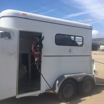 Burgeon Sport Horses - No big deal (anymore)! - Horseback Riding Near Me - Livermore, California Burgeon Sport Horses - No big deal (anymore)! - Horseback Riding Near Me - Livermore, California