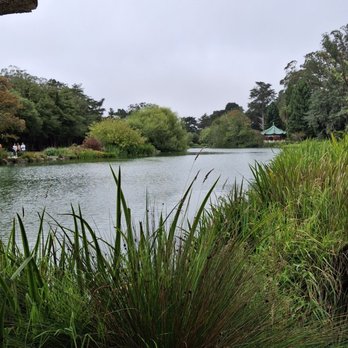 Golden Gate Park - Very calm and peaceful atmosphere. - Parks Near Me - San Francisco, California Golden Gate Park - Very calm and peaceful atmosphere. - Parks Near Me - San Francisco, California