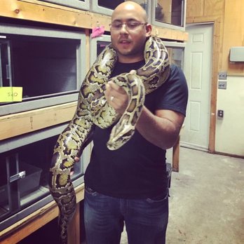 Gatorland - Snake!! - Zoos Near Me - Orlando, Florida Gatorland - Snake!! - Zoos Near Me - Orlando, Florida