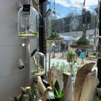LiveTrends - Nurseries & Gardening Near Me - Winter Garden, Florida