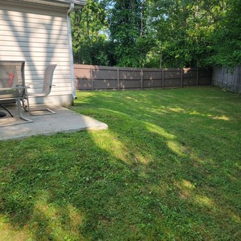 Whitlock Lawn Services - a back yard - Tree Services Near Me Whitlock Lawn Services - a back yard - Tree Services Near Me