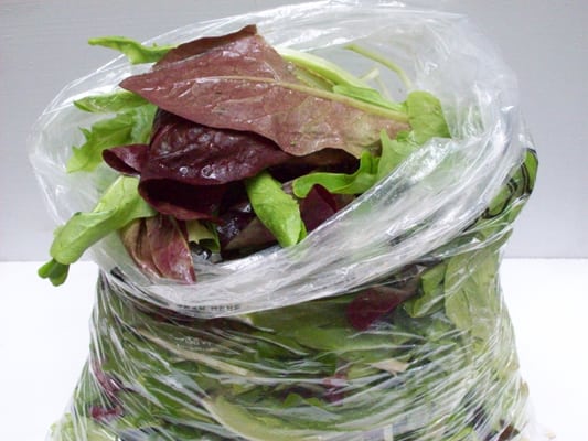 Brookfield Farm by null