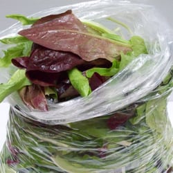 Brookfield Farm - Fall salad mix for Boston!