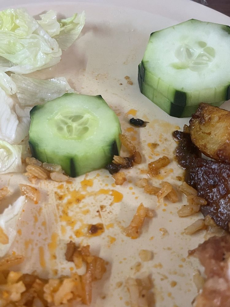 Taqueria Mazatlan Logo