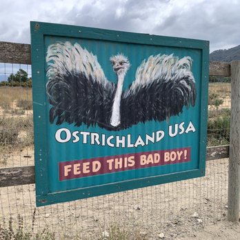 Ostrichland USA - Sign (Sep 2023) - Attraction Farms Near Me - Solvang, California
