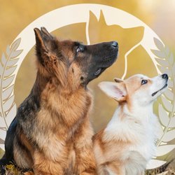 Dog Training Elite - Greater Cleveland