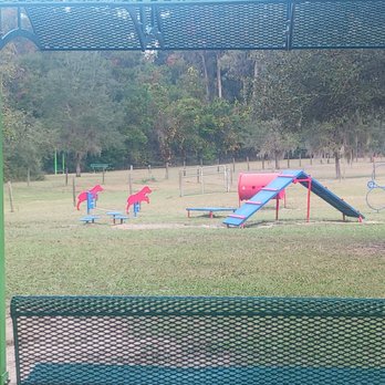 Squirrel Ridge Park - The agility item area - Parks Near Me - Gainesville, Florida