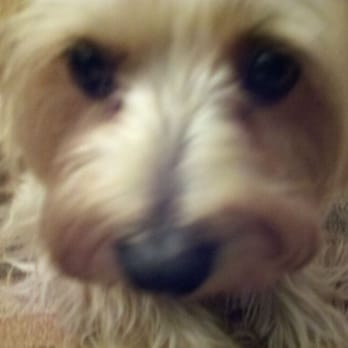 Petco - Pet Stores Near Me - Anaheim, California