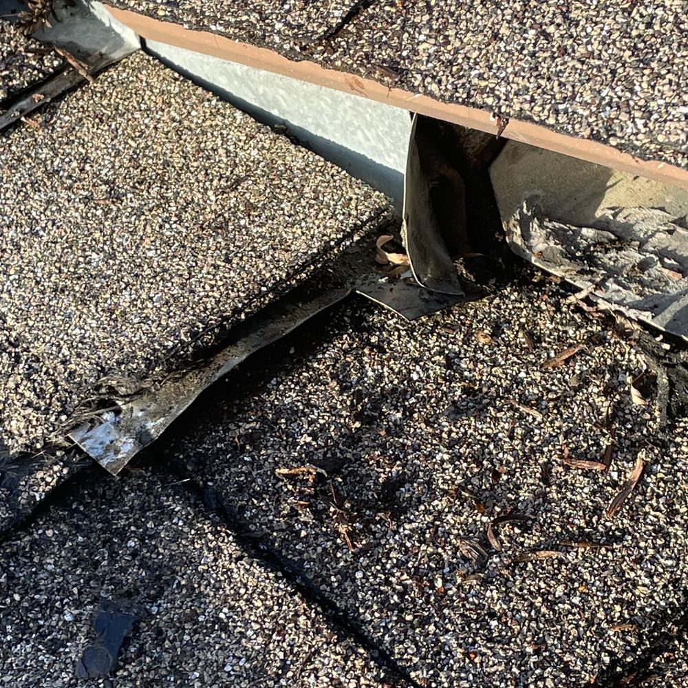 Lukas Pigeon Removal & Gutter Cleaning - Before Leak - Gutter Services Near Me Lukas Pigeon Removal & Gutter Cleaning - Before Leak - Gutter Services Near Me