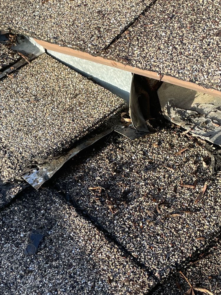 Slide of Lukas Pigeon Removal & Gutter Cleaning