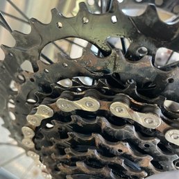 Rust Rust